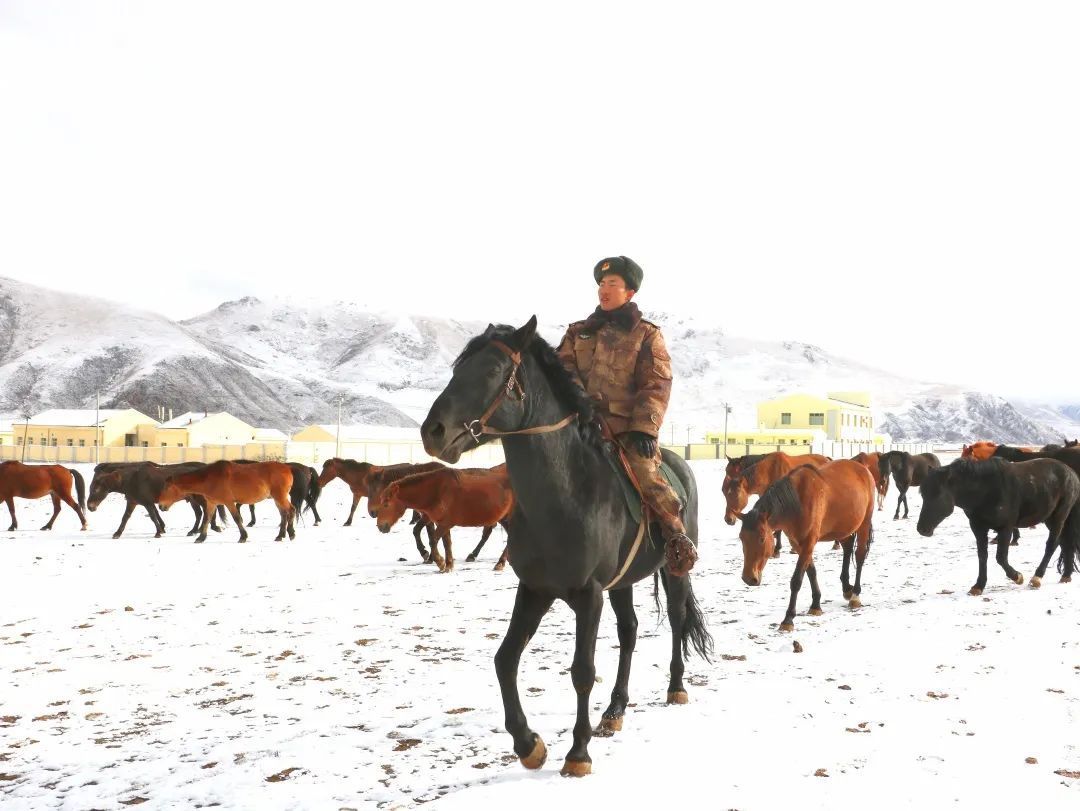 人来自|-38℃，骑马的兵哥哥真帅！