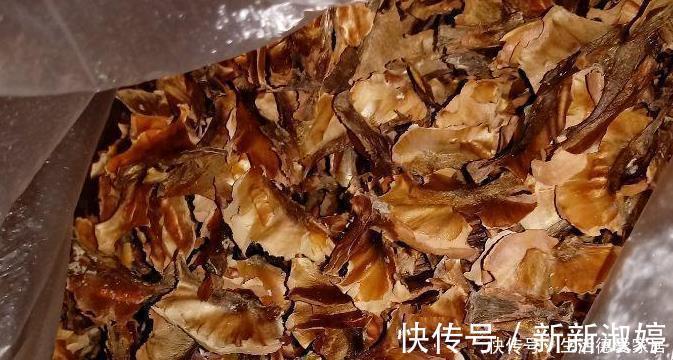 花盆里加点这个，不烂根不黄叶，轻松养满盆