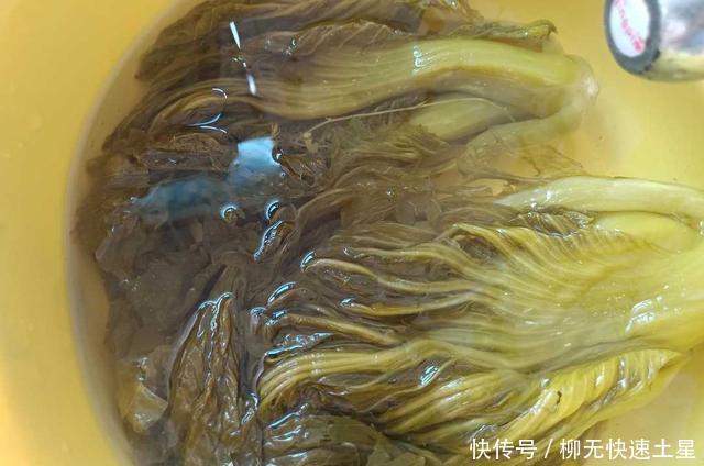 胃口|冷天没有胃口时,就炒一盘这菜,吃起来酸辣美味,开胃又下饭