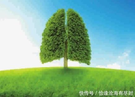 黄帝内经|肺,真正的先天之本所有养生都始于肺,3招疏通肺经,百病难侵