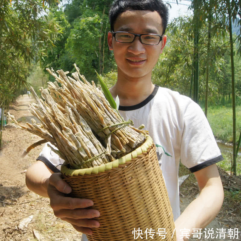 氨基酸|有种野菜本是割来喂猪,有钱人都爱吃,营养贼高