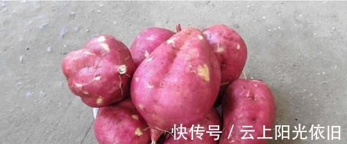 千寒|千寒易除,一湿难去?日常多吃这几种食物,湿气排得一干二净