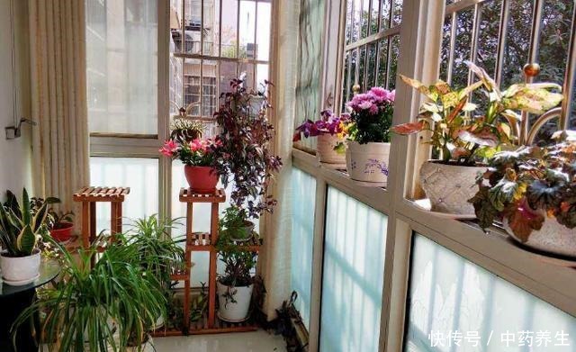 从厨房中找到这2样天然的生根剂,养花更无害、有趣!