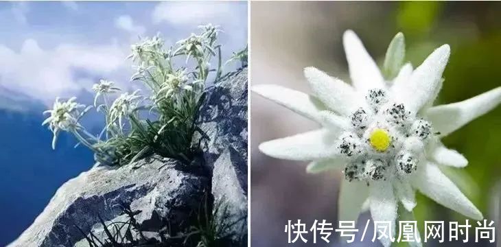 一张脸|戴上口罩才知道，什么叫一双眼能拯救一张脸，也能毁掉一张脸