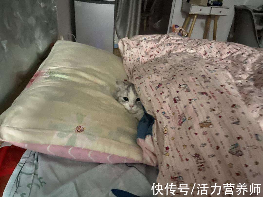 糖尿病足|失眠越来越严重？试试穿袜子睡觉，或许你会睡得香甜，不是在瞎说