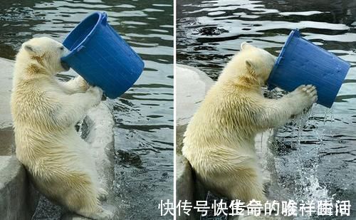 专家|早晨空腹喝水很养生?专家:不注意以下3点,还不如别喝