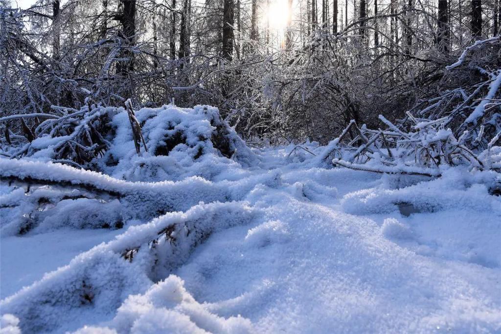 心间|净月潭的雪，美在山川，暖在心间！