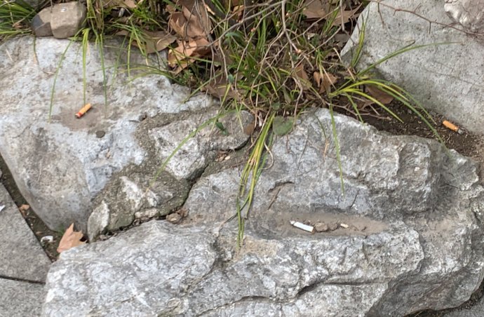 我们的节日·春节|春节旅游这样东西一定一定要带上 |我们的节日·春节\＂,\＂i12\＂:\＂春节旅游这样东西一定一定要带上