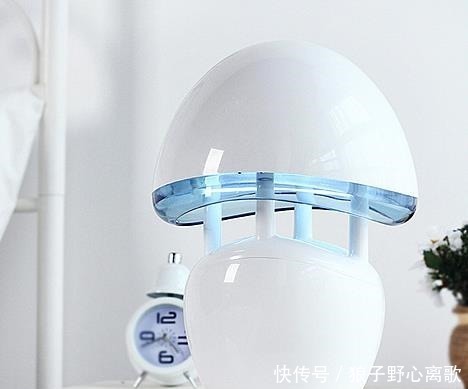 蚊子整晚嗡嗡叫,只需几个小方法,一觉安睡到天亮