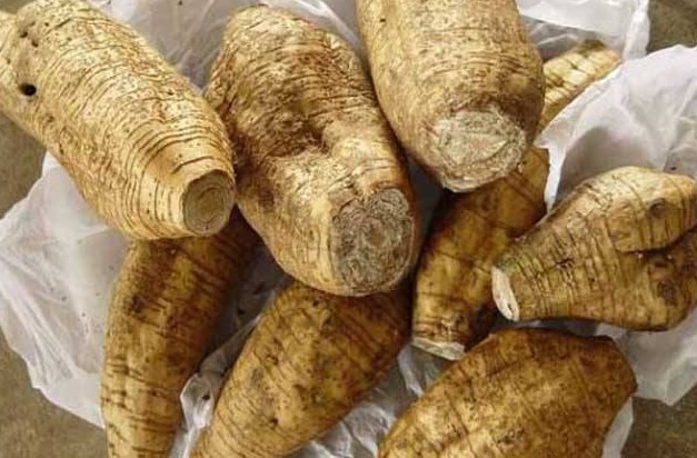 异黄酮|多吃以下2种“天然雌激素”,女性多吃防早衰,越来越有女人味