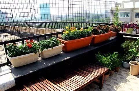 老公不顾反对买二楼的房子,完工后多出一个小花园,邻居都羡慕