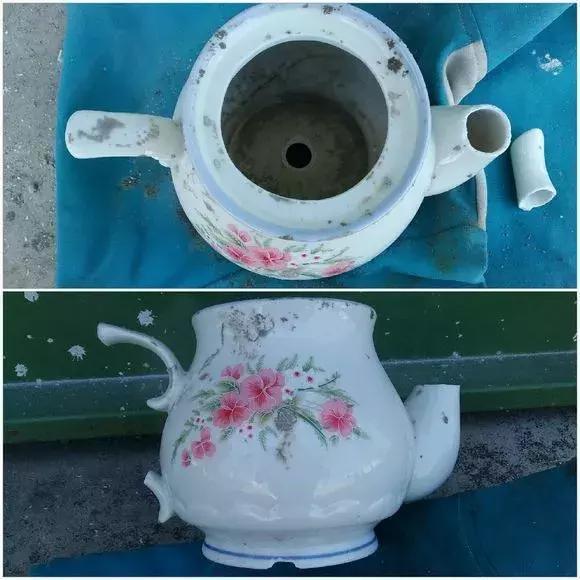 旧茶壶种点花,秒变高端盆景,卖300一个邻居抢着要