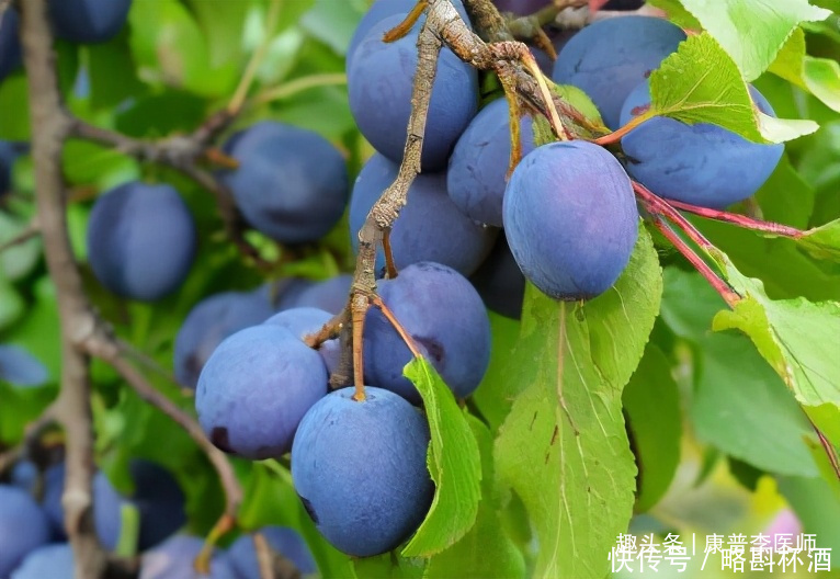 衰老|想长寿全靠吃,几种食物不错过,滋养肌肤,延缓衰老,更显年轻