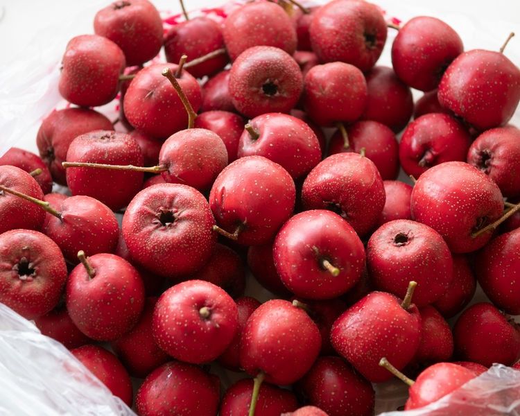 玻璃锅|这个季节的山楂很便宜，买2斤在家做山楂糕，开胃消食无添加