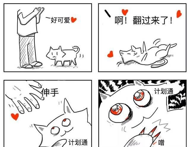 扎心|漫画：8个养猫的扎心瞬间，看完泪崩。