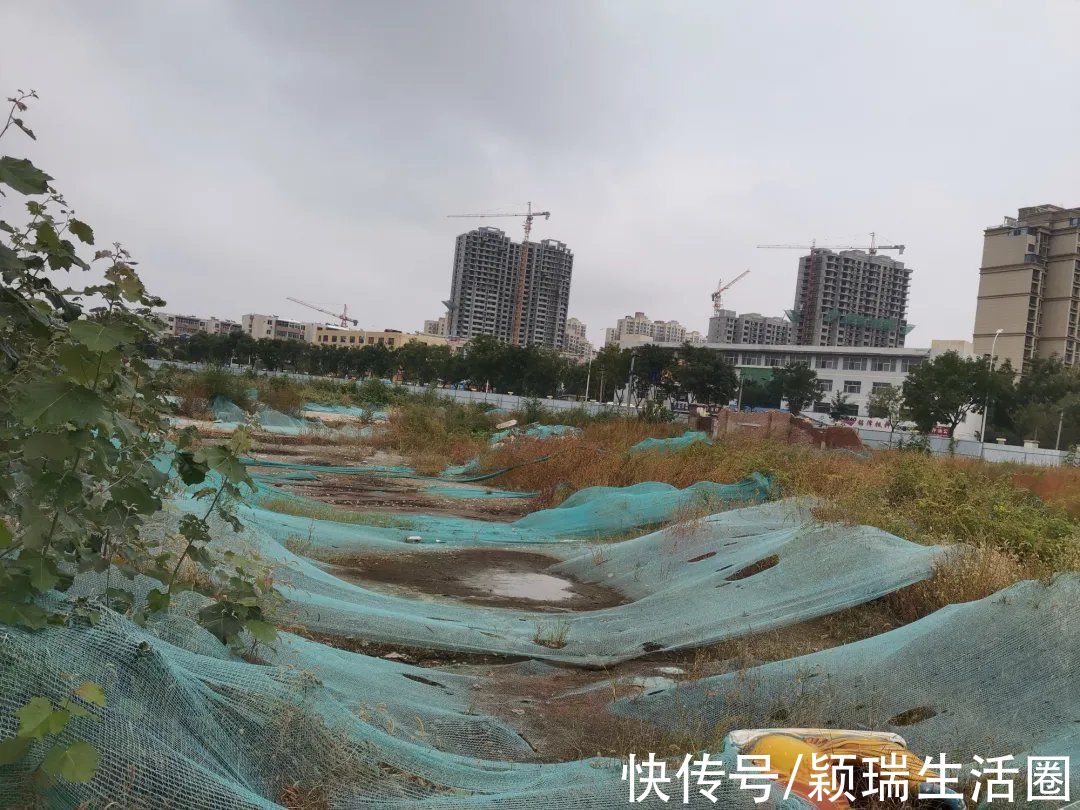 股份有限公司|德州神马地块以5.5亿元底价成交,竞得者是一家银行