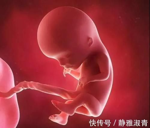 体重|怀孕1~10个月,胎儿发育变化全过程!想“修炼成人”还得过四关
