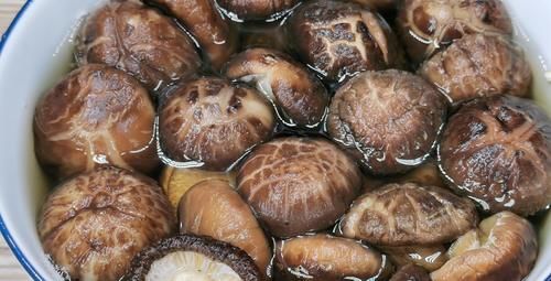 鲜香菇怎么清洗，学会方法，事半功倍