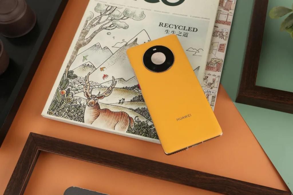 胡杨|华为Mate40 Pro秋日胡杨图赏：平衡又精致的艺术美学