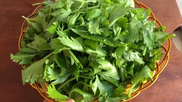 冬至将至，用它包饺子，再贵也要吃，比白菜馅鲜，比韭菜饺子香