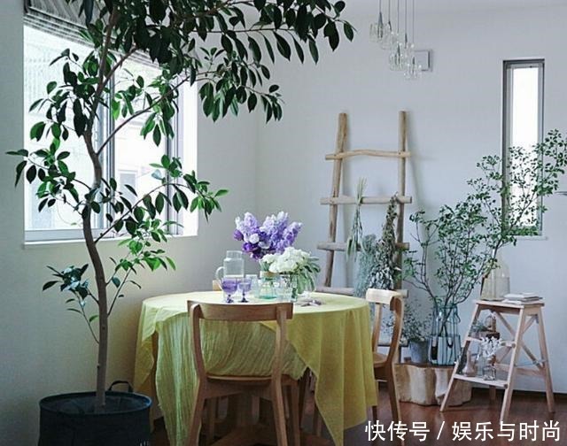 小两口之家,全屋布满绿植鲜花,把生活过成了诗,太美太治愈了!