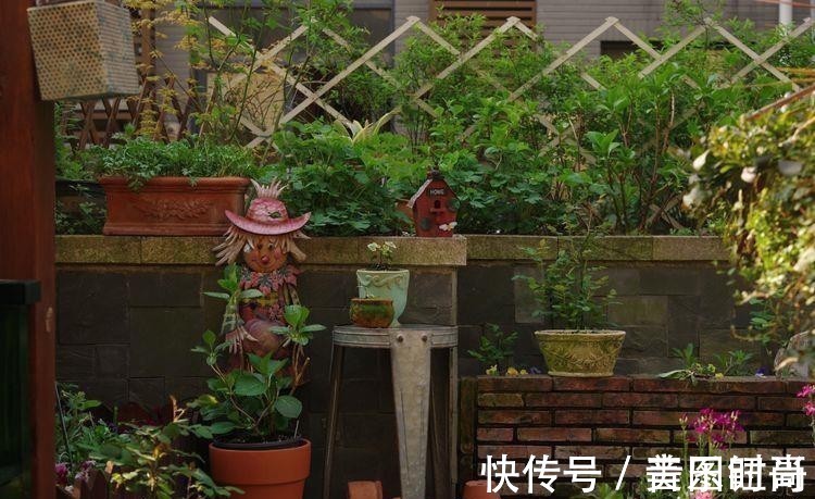 花园|荒废多年的80㎡小院,2年半时间打造成下沉式花园,太漂亮了!