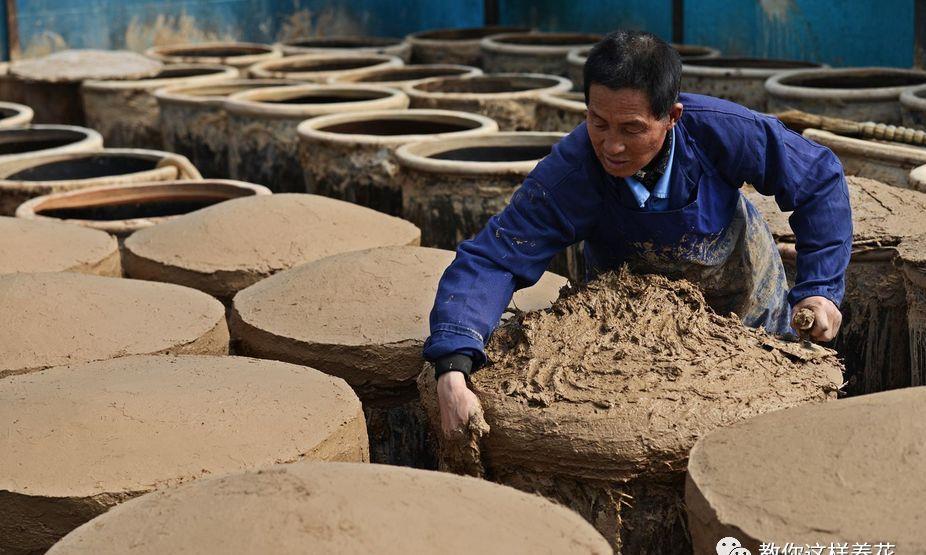 厨房这3样“小东西”,养花比肥好使,养啥爆啥!