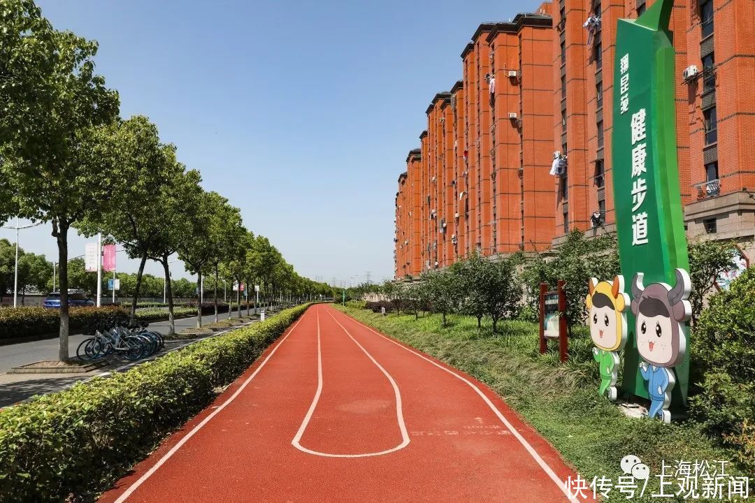 步道|休闲健身好去处！松江这里新增一条健身步道，在你家门口吗？