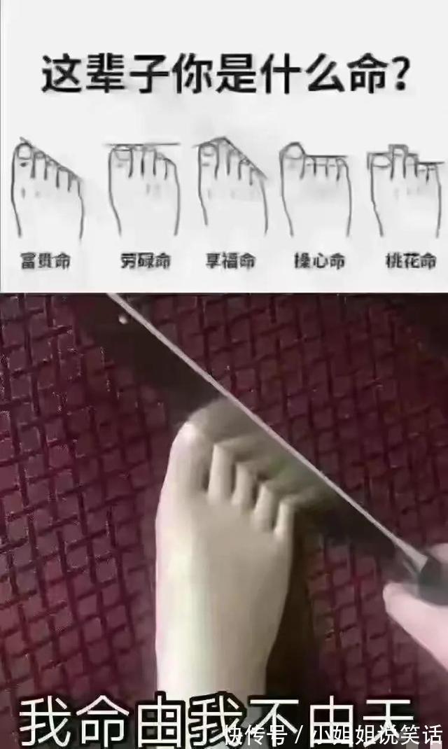 |搞笑合集：这是我的两位表弟，为人圆滑方正，希望能找个对象