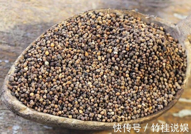 成骨细胞|菟丝子作为一种中药材,功效作用竟然有十多种不止!在乡下到处有