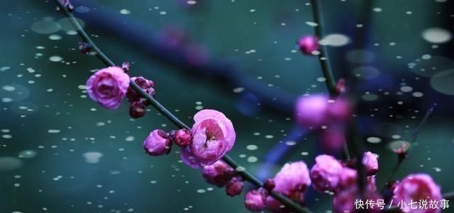 门泊东吴万里船!杜甫52岁写下一首诗,短短28字流传千年,小学生必背