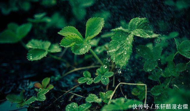 坷坎|失败之后,努力让天空晴朗