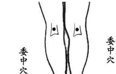 湿毒|三伏天，若想排净体内湿气，或许按摩这3个穴位能帮你，不妨一试