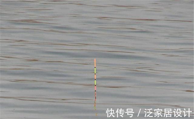 钩饵|顿口是钩饵正在鱼口中,顶漂是鱼在抬头,浮漂晃动是什么漂相?