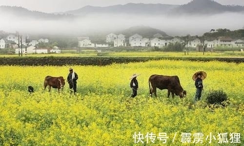 诗人|宋代的一首佳作，彰显淡泊襟怀，颈联仿佛两幅生动的写意图画