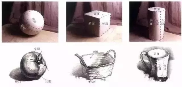 素描静物@画素描静物并不难,关键看有没有画好这几点!