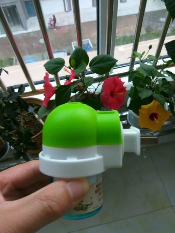 11月给花浇点自制“杀虫杀菌水”,虫子死光光,花草好过冬