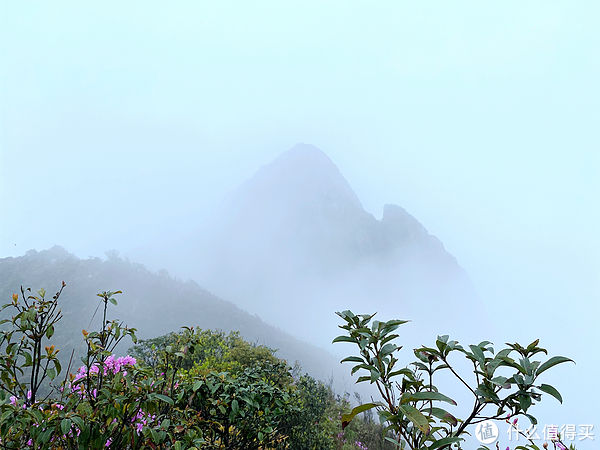 龙中|从黑夜到白天，登顶广东“小华山”