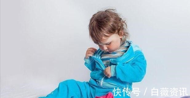 孩子|白岩松:情商比智商更为重要,常对孩子说这4句话,娃情商不会低