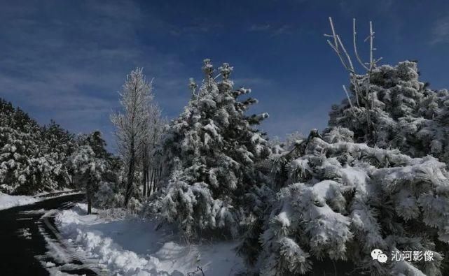 雪后王莽岭，美得不要不要的！