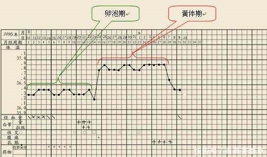 经周期|亲爱的，你连这都不懂，再备孕30年也不成！