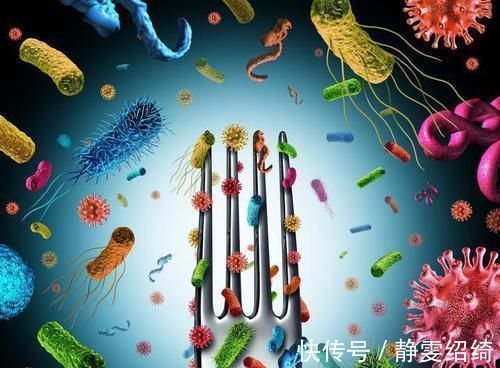 食物中毒|吃久泡的黑木耳会中毒?真相原来是这样!注意3点,可以放心吃