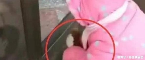 小孩子|4岁女儿被送到农村奶奶家,活捉大鹅太彪悍,小公主秒变“村霸”