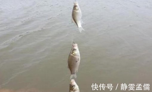 钓钩|使用这种绑钩方法的串钩来钓鱼,简单快速,结实又耐用!