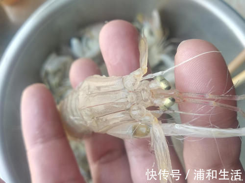 鲜甜|做皮皮虾，煮还是蒸好老渔民只用一种做法，皮皮虾鲜甜还不腥