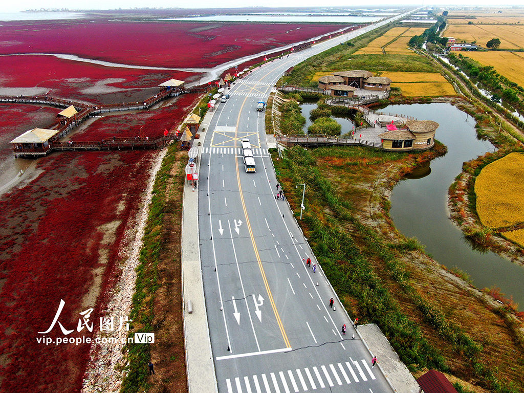 国家风景廊道|辽宁盘锦红海滩国家风景廊道