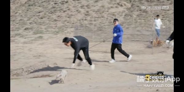 它逃，他追，它…跑的更飞？