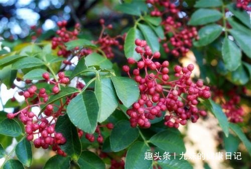 脚臭|秋冬季节,睡前用此物泡脚,湿气没了,失眠好了,脚臭脚痒远离你