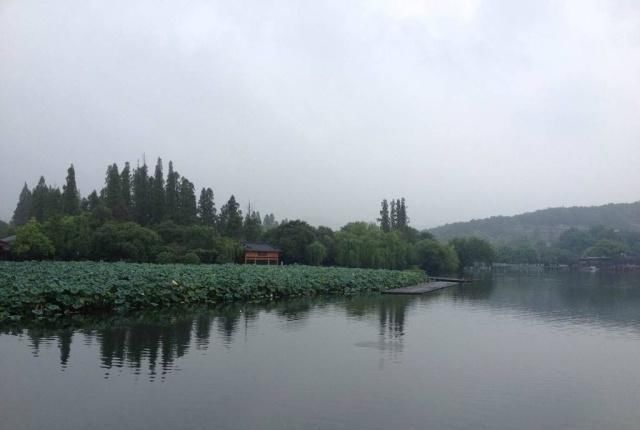 西湖#杨万里最经典的一首诗,短短二十八个字,让人有一种身临其境之感