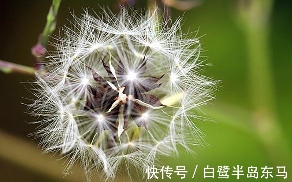 霉运|3大生肖的人，明天运势：勤劳致富，桃花盛开，霉运消散